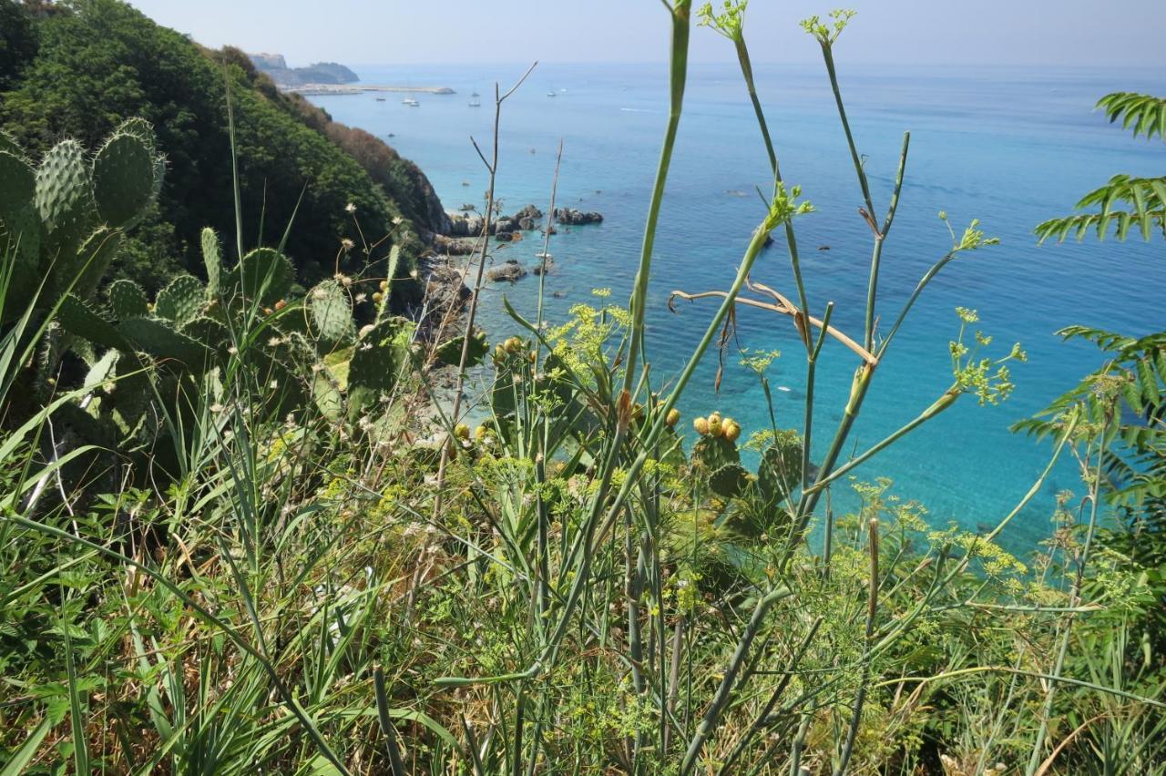 Il Limoneto 2, Casa Vacanze Parghelia-Tropea Lägenhet Exteriör bild